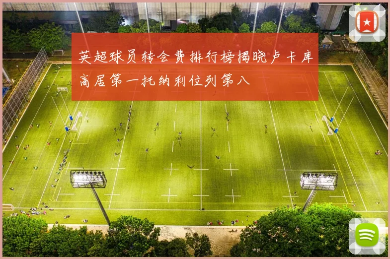 英超球员转会费排行榜揭晓卢卡库高居第一托纳利位列第八