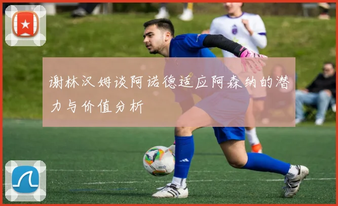 谢林汉姆谈阿诺德适应阿森纳的潜力与价值分析